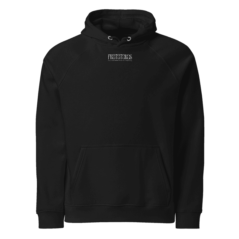 The Messiah, King of Kings | Unisex eco raglan hoodie