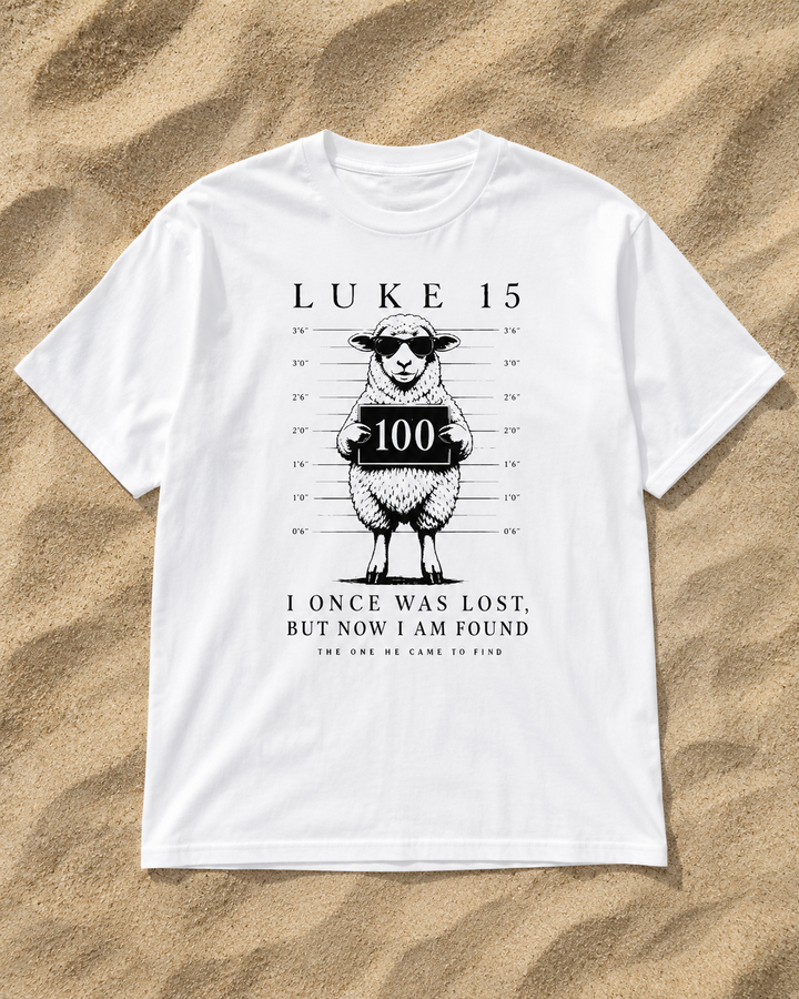 Once Was Lost (Luke 15) | Unisex Premium T-shirt
